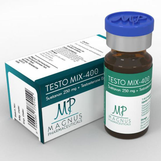 Testo Mix 400